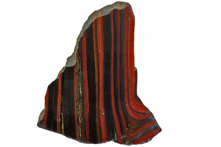 Polished Tiger Iron Stromatolite Slab - Billion Years #162007